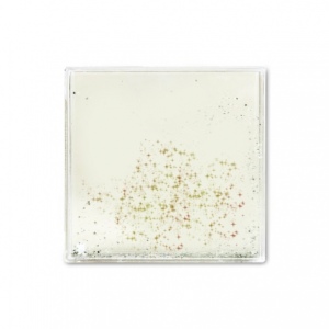 Square photo frame with silver or gold glitter inside